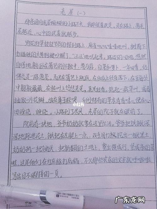 中考优秀作文优美段落摘抄 优秀作文选段摘抄优美