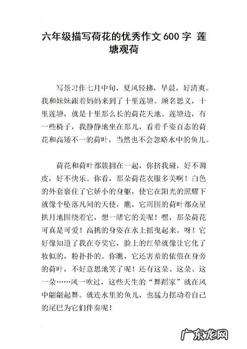 六年级上册作文大全 六年级20篇优秀作文