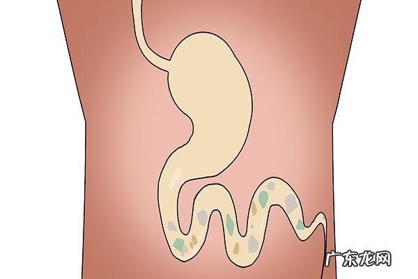 早上不吃早餐对减肥有用吗？