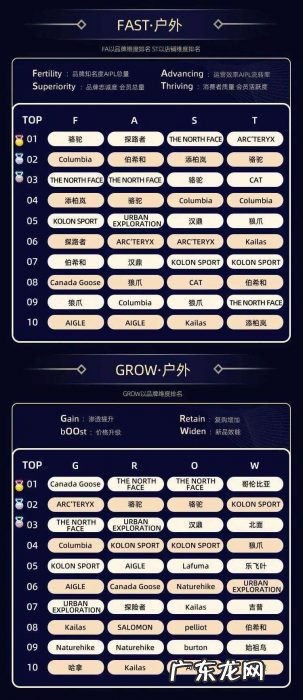 10个大赛道、32个类目,双11品牌数字资产榜单出炉,哪些新品牌上榜了?