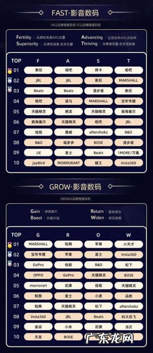 10个大赛道、32个类目,双11品牌数字资产榜单出炉,哪些新品牌上榜了?