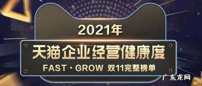 10个大赛道、32个类目,双11品牌数字资产榜单出炉,哪些新品牌上榜了?