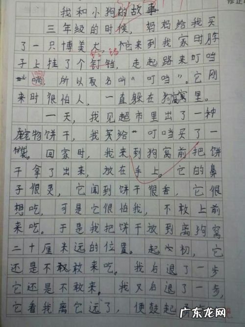 抄一篇好作文 抄写一篇作文