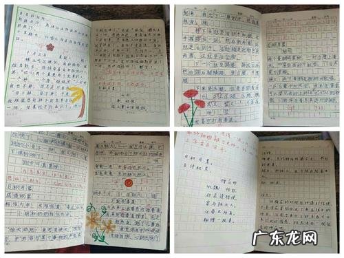 三年级日记优秀篇300字 三年级日记优秀篇