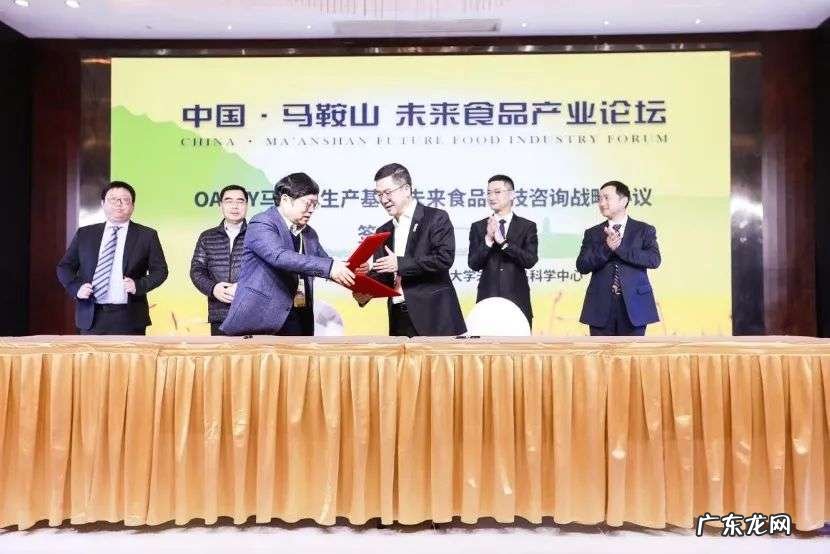 燕麦奶破圈、中国工厂落地,OATLY构建「未来食品」样板