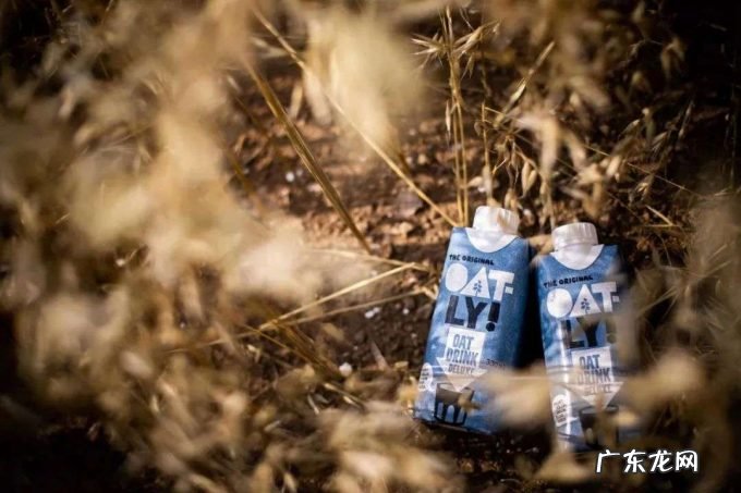 燕麦奶破圈、中国工厂落地,OATLY构建「未来食品」样板