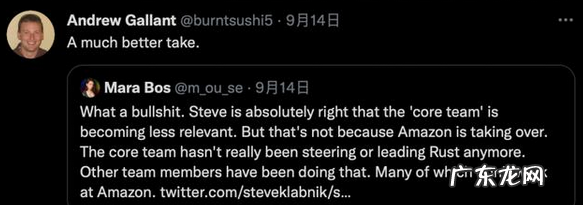 懵了,一夜之间,Rust审核团队突然集体辞职?