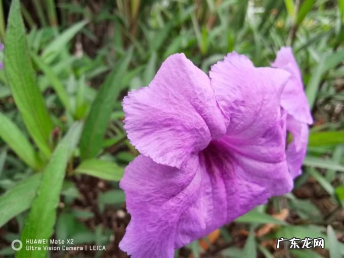 华为Mate X2典藏版:软硬结合,接近完全体的折叠屏