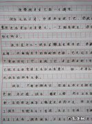 三年级300字优秀作文 初中作文800字优秀作文
