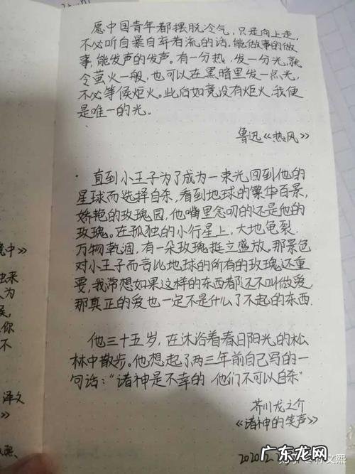 作文精选段落摘抄100字 作文精选段落摘抄