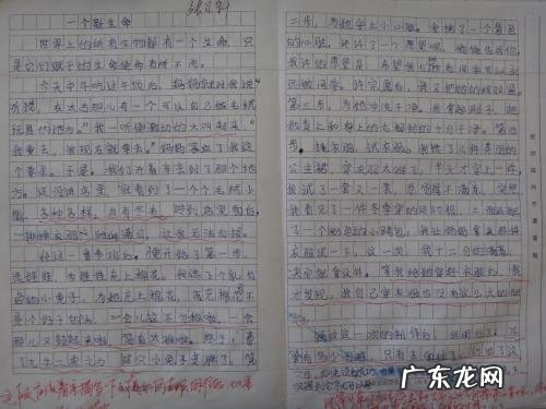 四年级20篇优秀作文400 四年级20篇优秀作文