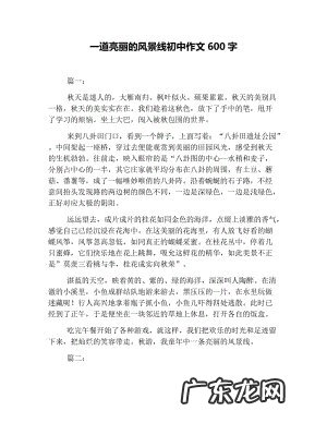 300字优秀作文大全 600字作文大全初中