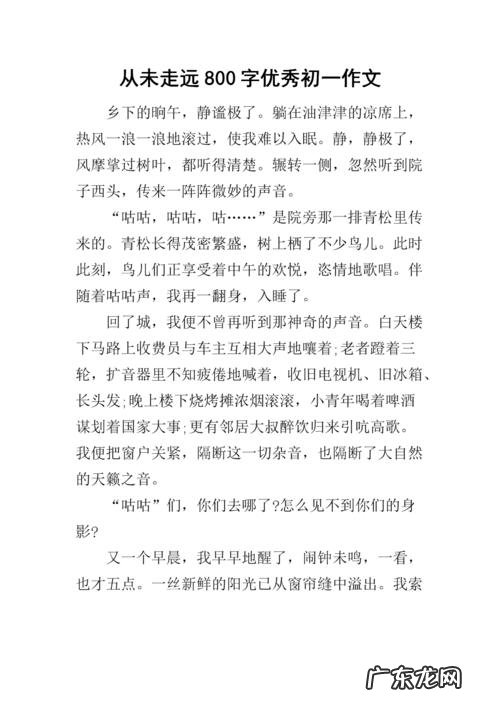 作文大全400字 800字优秀作文大全