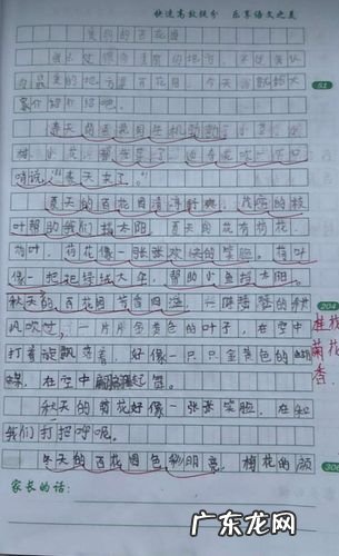 这儿真美的作文300字三年级怎么写 这儿真美的作文300字三年级