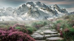 适合第二天带饭的菜谱有哪些？