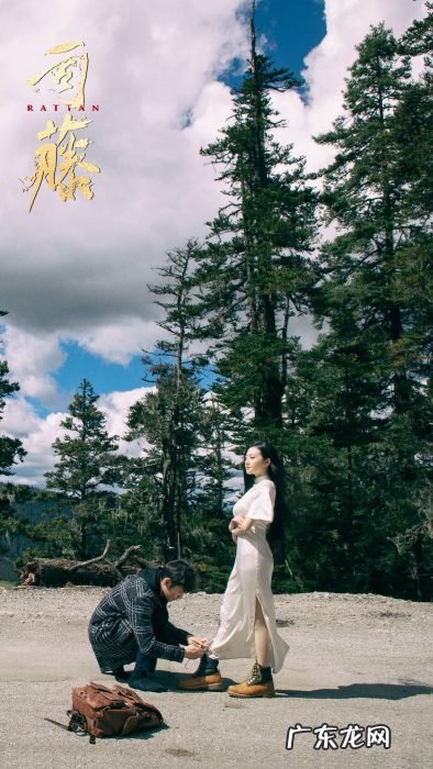 尾鱼、紫金陈发声，IP作者与编剧之争无解？