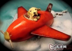 小狗坐飞机小提示