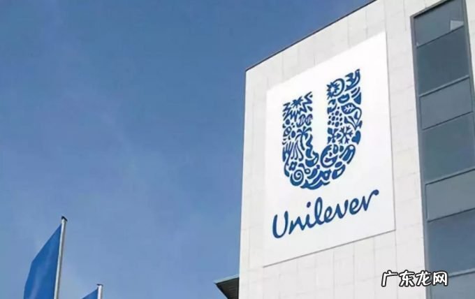 “立顿”被弃,中国袋泡茶江湖风起