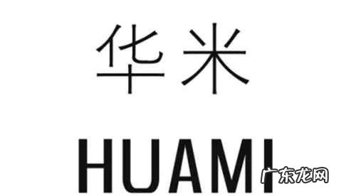 华米,活在小米的阴影下