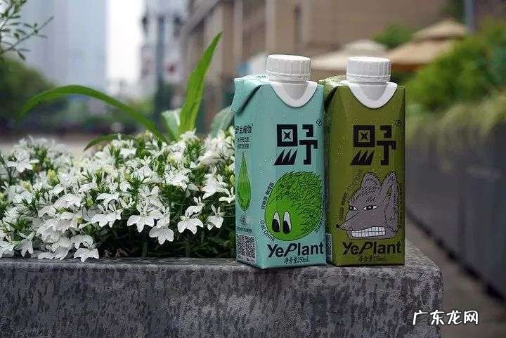 门店扩张如何突破「天花板」?喜茶向左,名创优品向右