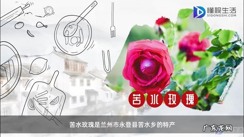 兰州特产八件？ 兰州有哪些特产