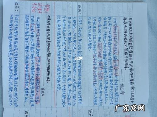 高中生作文素材大全 适合高中生摘抄的作文素材