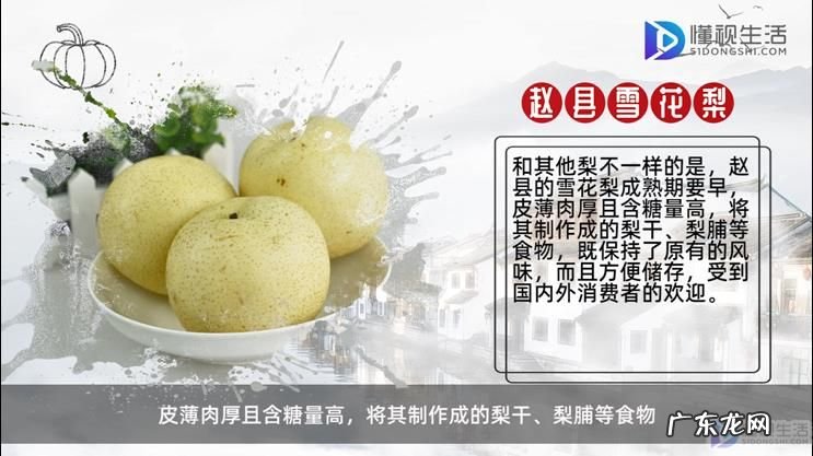 河北省石家庄市特产? 石家庄有什么特产