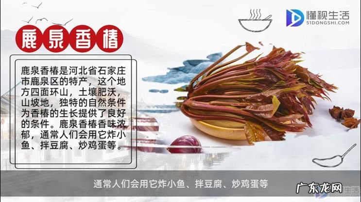 河北省石家庄市特产? 石家庄有什么特产