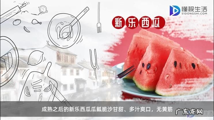 河北省石家庄市特产? 石家庄有什么特产