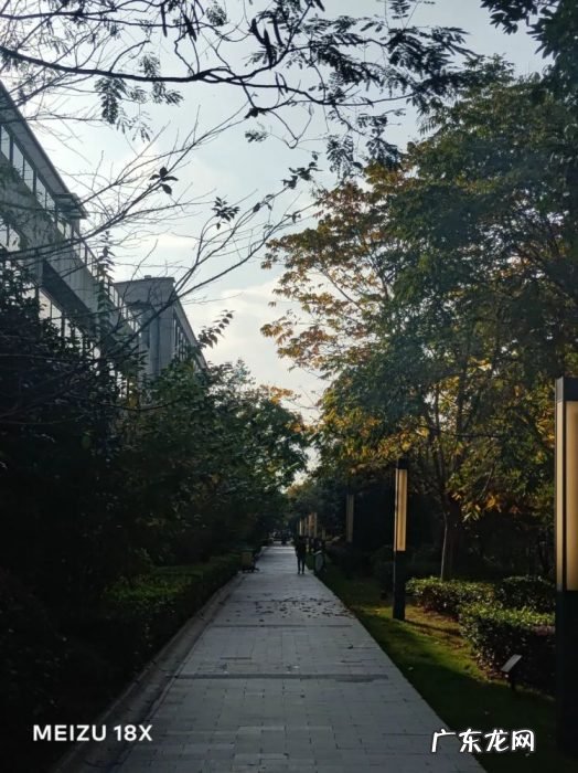 玩了两天魅族18X的 “禅”,我吐槽吐了三天……