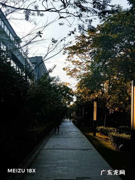 玩了两天魅族18X的 “禅”,我吐槽吐了三天……