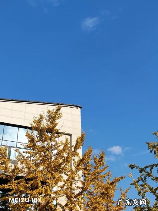 玩了两天魅族18X的 “禅”,我吐槽吐了三天……