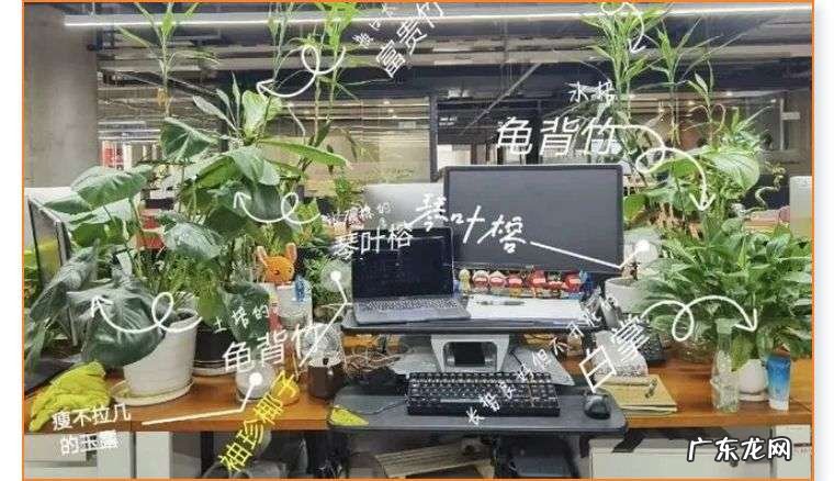 体检是公司福利，体检报告不是