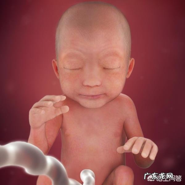 怀孕妈妈们在24周的时候肚子都有多大?