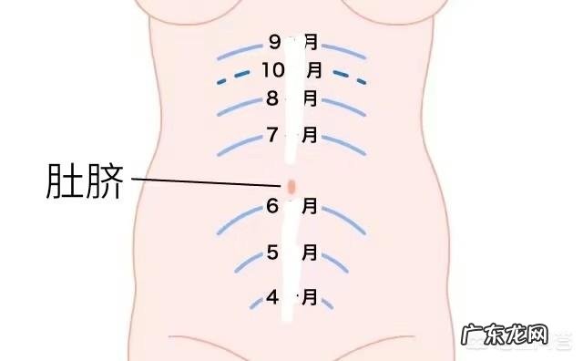 怀孕妈妈们在24周的时候肚子都有多大?