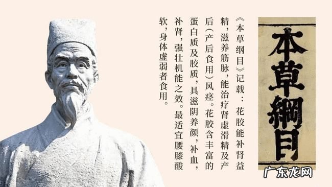 形象升级、技术迭代,花胶能否摘掉中式滋补的“玄学”面纱?