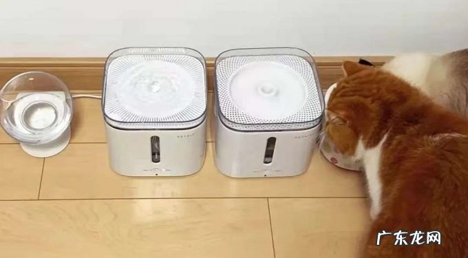 “铲屎官”立功,宠物家电赛道要成为新黑马