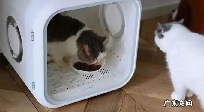 “铲屎官”立功,宠物家电赛道要成为新黑马