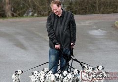 带小狗散步的好处与安全隐患