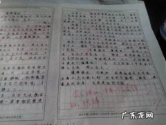 高中语文作文范文800字议论文 高中语文作文范文10篇