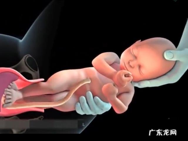 顺产是怎么一个过程-顺产过程vlog