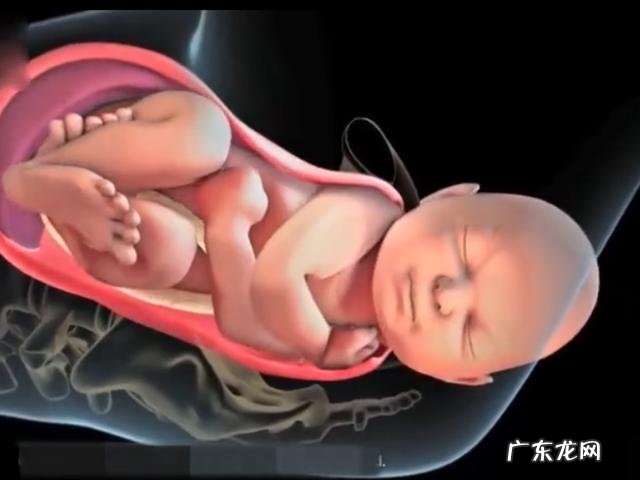 顺产是怎么一个过程-顺产过程vlog