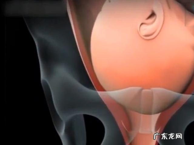 顺产是怎么一个过程-顺产过程vlog