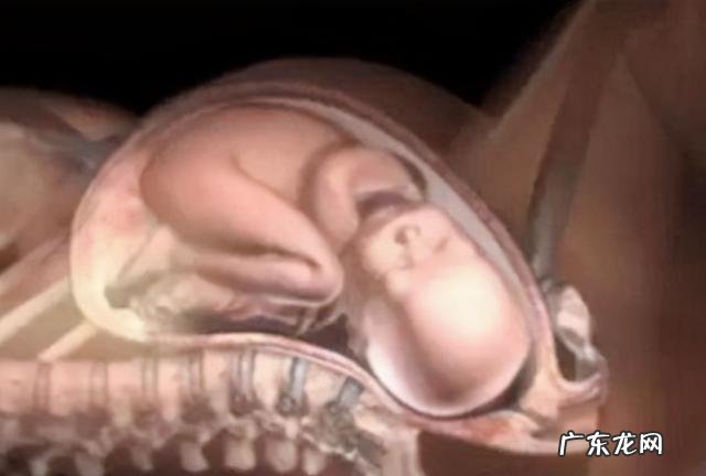 顺产的分娩过程及各个产程的处理-外国人顺产分娩生孩子