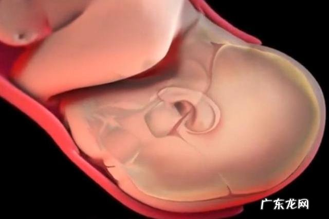 顺产分娩的全部步骤-自然顺产分娩