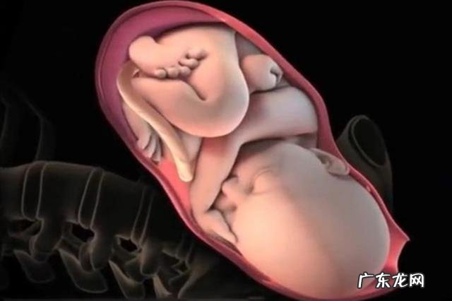 顺产分娩的全部步骤-自然顺产分娩