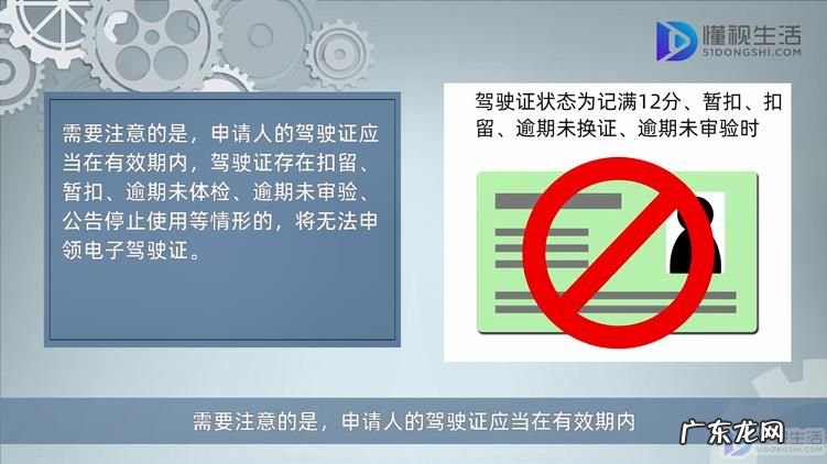 网上预约驾照年审？ 电子驾照网上可以年审吗
