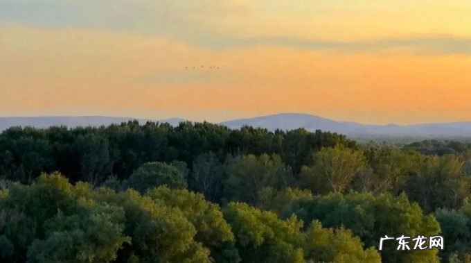 互联网的另一个下半场