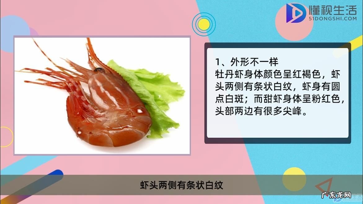 牡丹虾甜虾鳌虾哪个贵? 牡丹虾和甜虾的区别