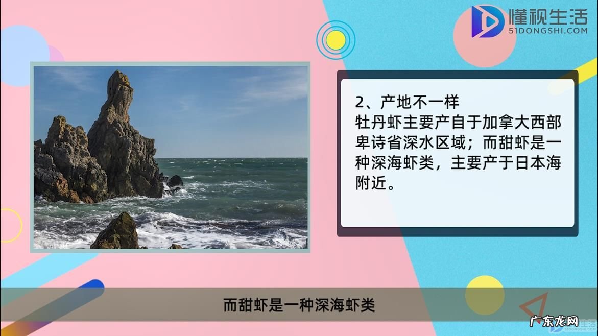 牡丹虾甜虾鳌虾哪个贵? 牡丹虾和甜虾的区别